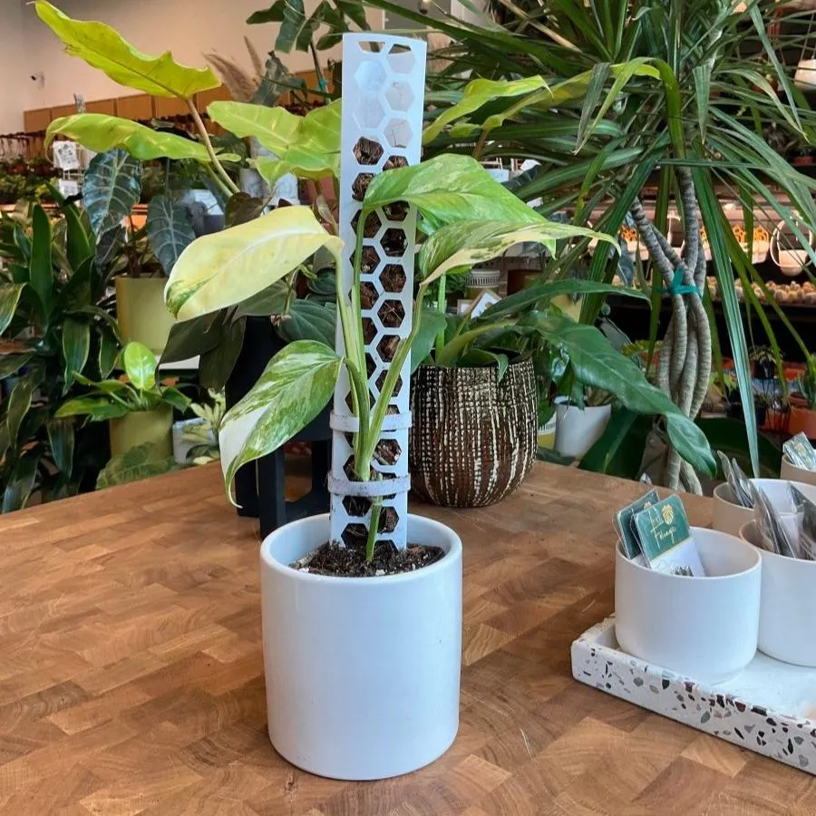 Stackable Plant Support Pole - White